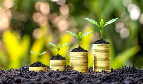 BPI Launches Green Saver Time Deposit to Support Sustainability Initiat.